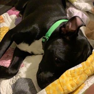 Meet your Posher, Craig